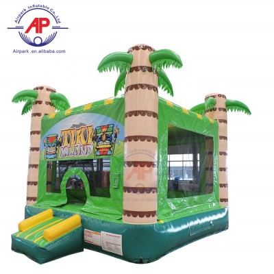 Airpark HEC commercial inflatable cartoon bounce castle house indoor outdoor park